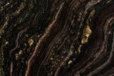 Polished Tiger Iron Stromatolite Slab - Billion Years #351797-1